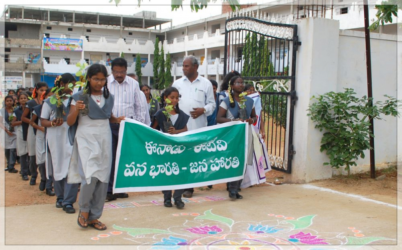 plantation6