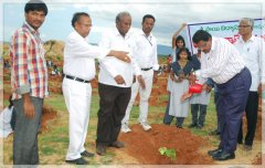 plantation9