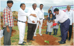 plantation9